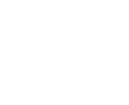Vision Color Logo